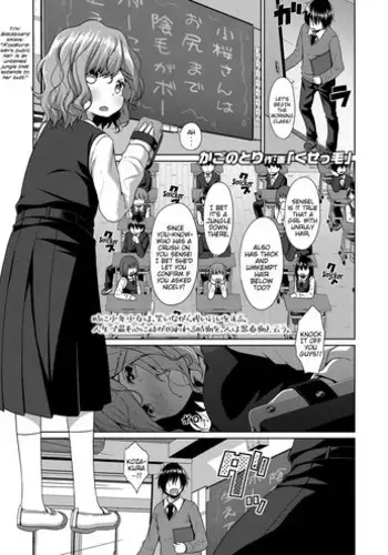 Kusekke | Unruly Hair