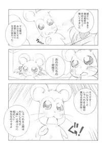 (C74) [Furaipan Daimaou (Chouchin Ankou)] Battle for the Planet of the Hams -Episode 2- (Hamtaro)