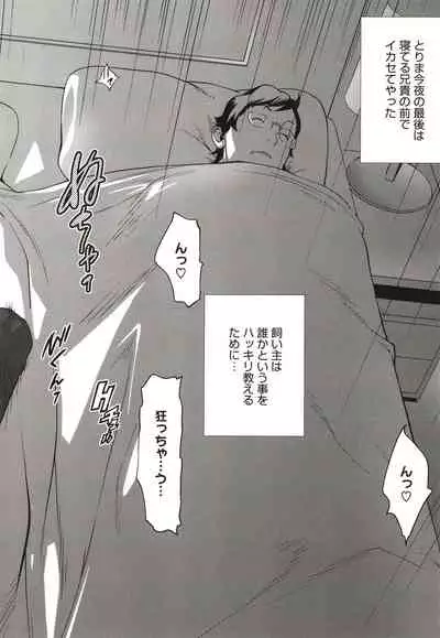 Nyuugyaku no Rudbeckia