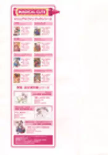 Natural 2 Duo Visual Fan Book