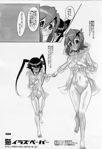 [Neko Irazu (Hinoki)] DUPLICATE KEY (Senki Zesshou Symphogear) [2015-08-22]