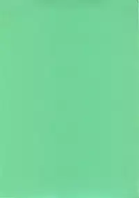 (C76) [Botugo (RYO)] Little Little Princess (VOCALOID)