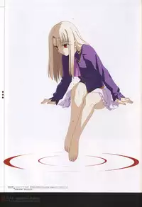 [Type-Moon] Fate/complete material I - Art material.