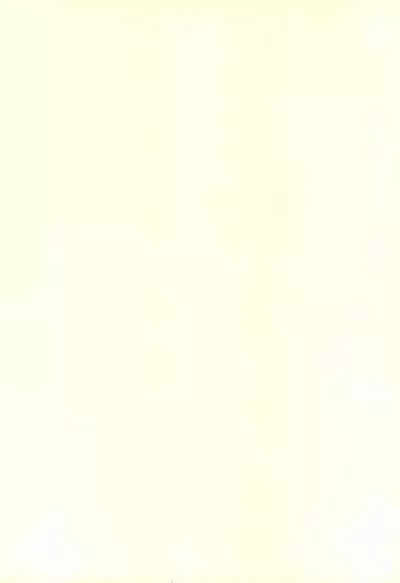 (CR17) [SYSTEM GZZY (Eimu Yuu)] VIOLIN