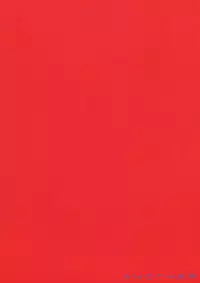 [Chameleon Can-D] Another (Durarara!!)