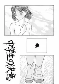 (C39) [Samemaro Party (Various)] Chuugakusei no Ketsui