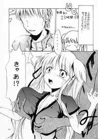 (C73) [MILK STANDARD (Shin'ichi)] Equivalent (Mabinogi)