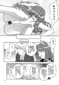 [Circle Credit (Benjamin, Akikan, Muichimon, NAL)] Ookami to Mimi to Shippo (Spice and Wolf)