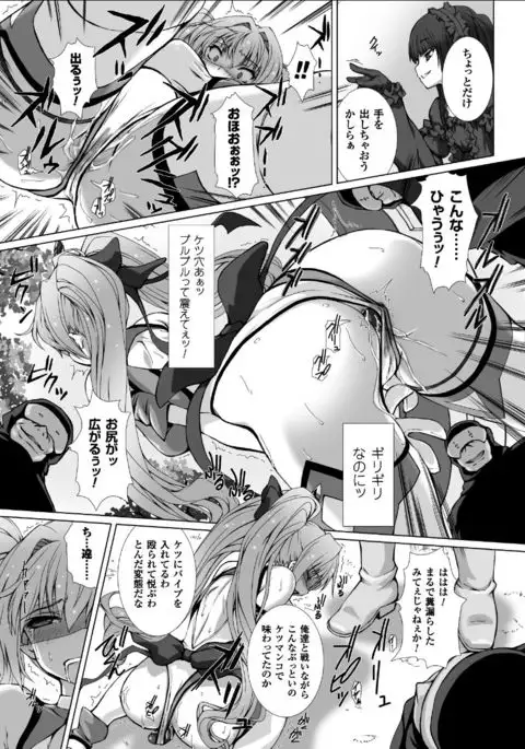 Seigi no Heroine Kangoku File Vol. 11