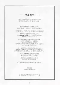 (SC40) [EKAKIGOYA NOTESYSTEM (Nanjou Asuka)] Twins parallel story "IF" (Original)