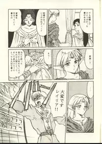 [Waku Waku Doubutsuen, Neko Apron (Various)] DIEDLIT 2 (Record of Lodoss War)