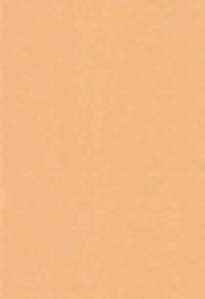 Tenko ni Itazura Suru Hon | 调戏天狐