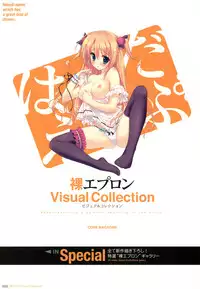 Hadaka Apron Visual Collection