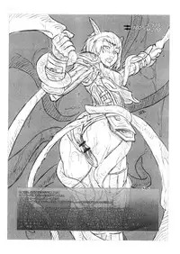 [NP Uirusu Jouryuujo] Mithman Report 2005 (Final Fantasy XI)