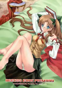 (C66) [Hanzai Tengoku (Hasei Agana)] ACCESS CODE PRIMARY (Fate/stay night) [Chinese] [冬木守護者漢化組]