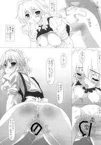 (Reitaisai 8) [Testa Kitchen (Testa, Aisa)] SHADOW MOON (Touhou Project)