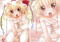 (C79) [MeltdoWN COmet (Yukiu Con)] Ningen no Kuse ni Namaiki da. (Touhou Project)