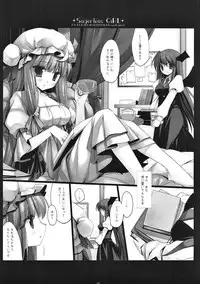 (Reitaisai 10) [D.N.A.Lab. (Miyasu Risa)] SEREVENT (Touhou Project)