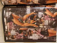 masamune shirow w tails cat 1