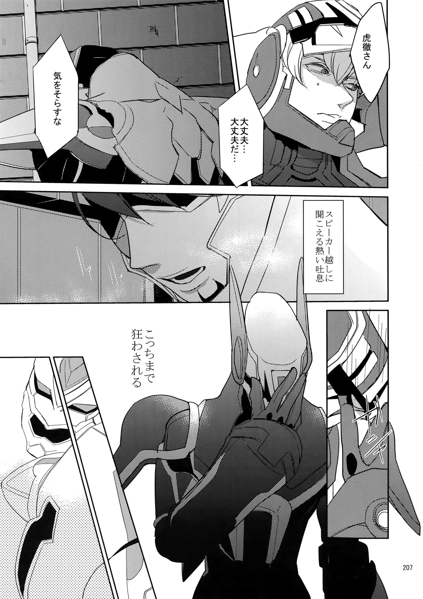 BOROZS Usagi Tora Sairoku