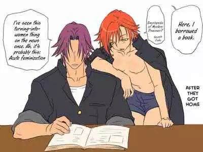 Seitenkango, Shinyuu to ~Aibou Hen~| After I got genderbend, my friend and I...