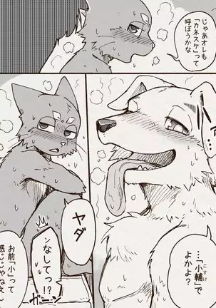 アオカネ銭湯日記