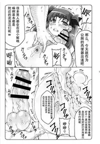 (C93) [Abarenbow Tengu (Izumi Yuujiro)] Kotori 15 (Fate/stay night) [Chinese] [不咕鸟汉化组]