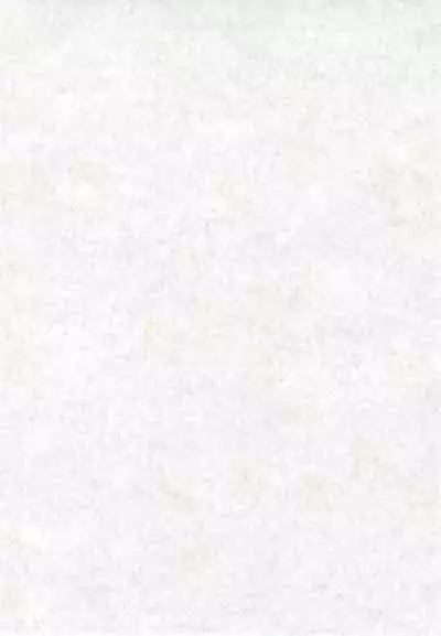 Fiance Tsuushin 2006 - Fuyu no Gou