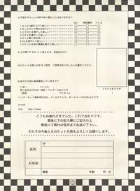 [Rocket Kyoudai (Various)] PATA PATA PATAPi! (Cyber Team in Akihabara)