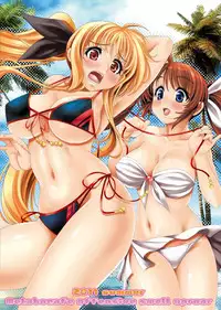 (C80) [Metabocafe Offensive Smell Uproar (Itachou, Kakiko)] Minami No Shima De Kiki 100 Hatsu (Mahou Shoujo Lyrical Nanoha)